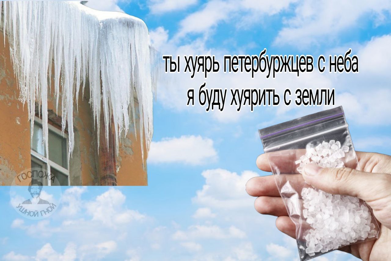 петербуржцев с неба ябуду we