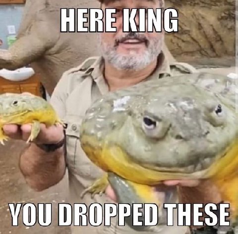 HERE KING 4. 2 aN я YOU DROPPED THESE