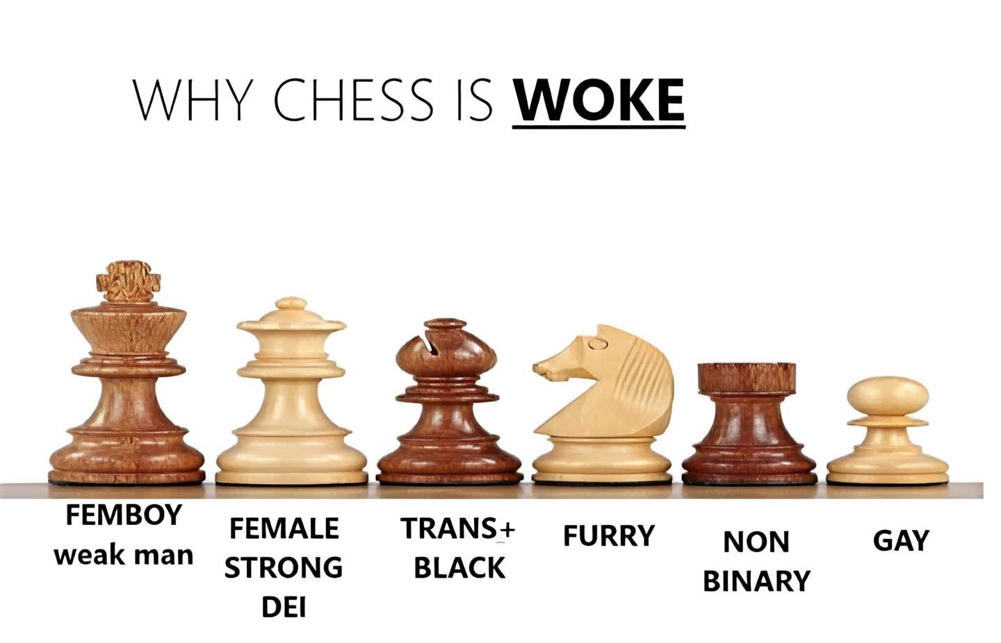 WHY CHESS WOKE FEMBOY TRANS+ weak man FURRY NON GAY STRONG BLACK BINARY DEI