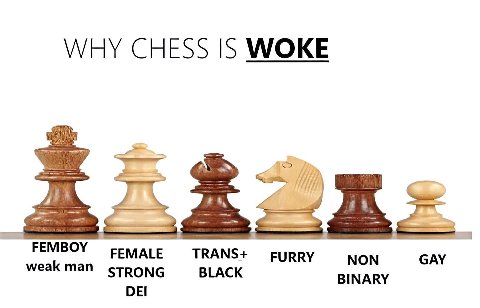 WHY CHESS WOKE FEMBOY TRANS+ weak man FURRY NON GAY STRONG BLACK BINARY DEI