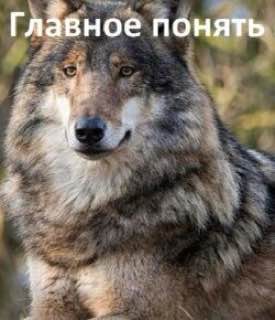 Главное ПОНЯТЬ