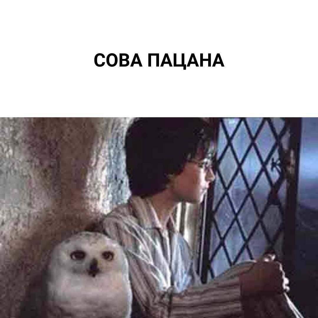 СОВА ПАЦАНА 4