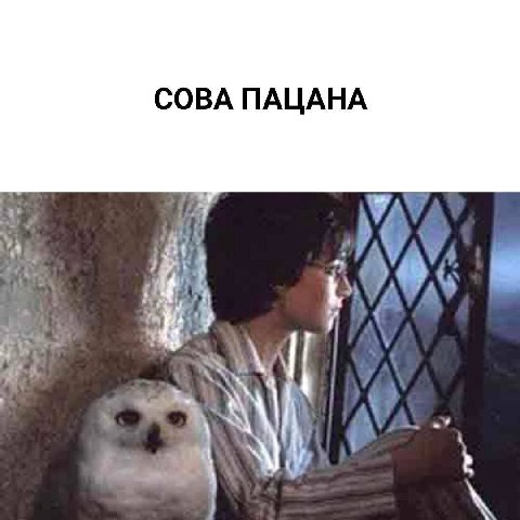 СОВА ПАЦАНА 4