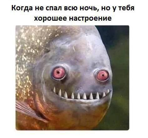 Когда не спал всю ночь, но утебя хорошее настроение у 3 2%