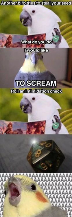 steal your, seed| у you'do like ПОЗСВЕАМ intimidation check дал А `^АААААААА ААА