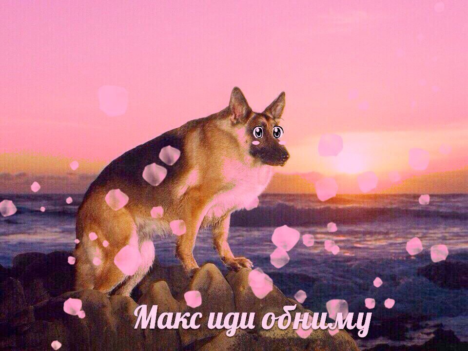 Макс иди одниму