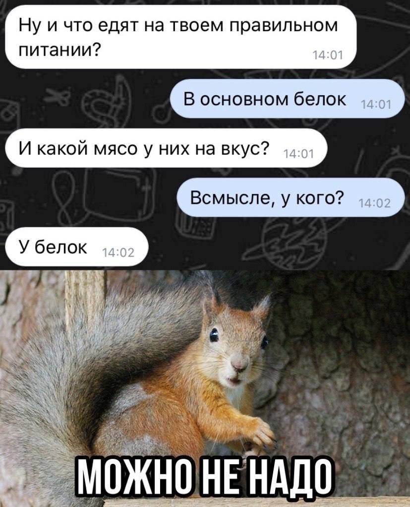 Ну и что едят на твоем правильном питании? В основном белок И какой мясо у них на вкус? Всмысле, у кого? У белок /4 4 0