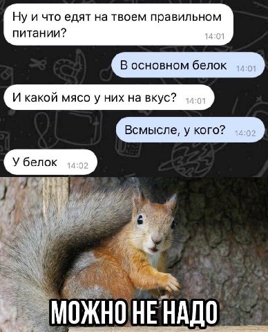 Ну и что едят на твоем правильном питании? В основном белок И какой мясо у них на вкус? Всмысле, у кого? У белок /4 4 0