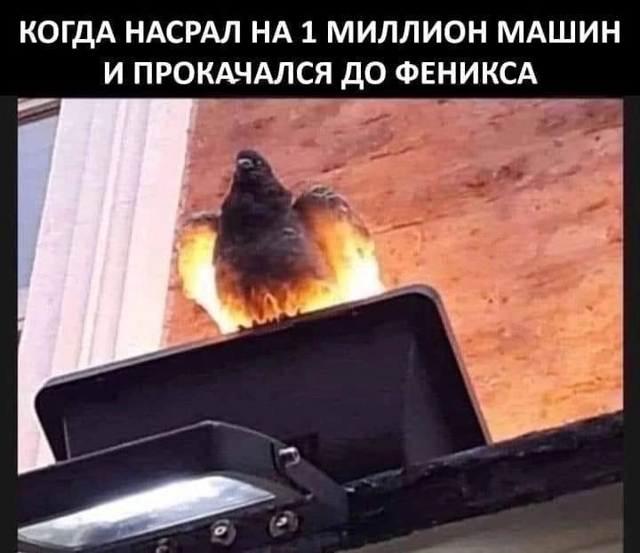 КОГДА НАСРАЛ НА 1 МИЛЛИОН МАШИН И ПРОКАЧАЛСЯ ДО ФЕНИКСА