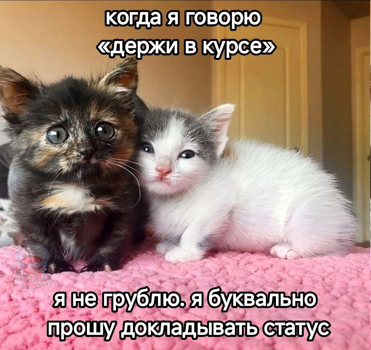 когда я говорю «держи в курсе» “9 ‘He грублю. я буквально прошу докладывать статус