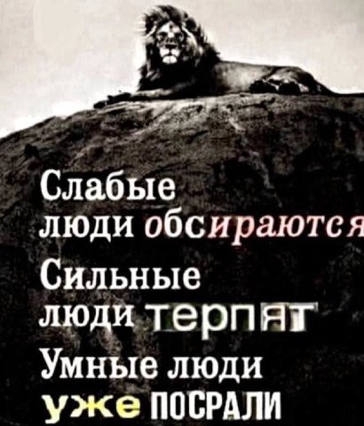 Слабые люди обсираются Сильные люди терпят Умные люди уже ПОСРАЛИ
