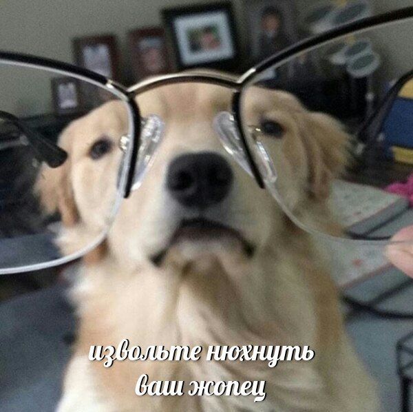 нюхнуть баш