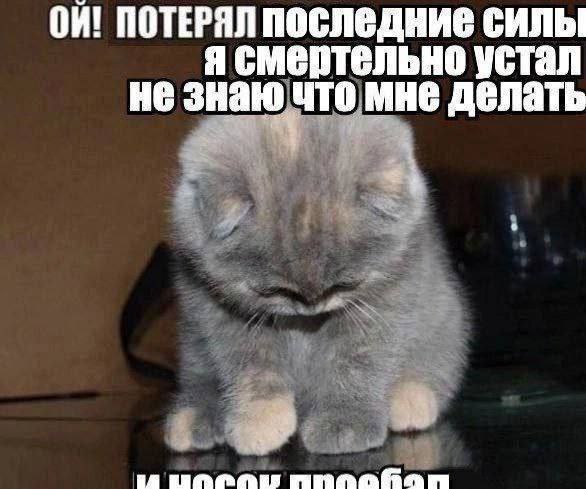 ПОТЕРЯЛ ПОСЛеДНИе СИЛЫ я смертельно устал не знаю что мне делать