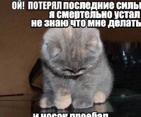 ПОТЕРЯЛ ПОСЛеДНИе СИЛЫ я смертельно устал не знаю что мне делать