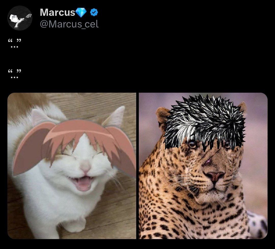 Marcus #5 #5