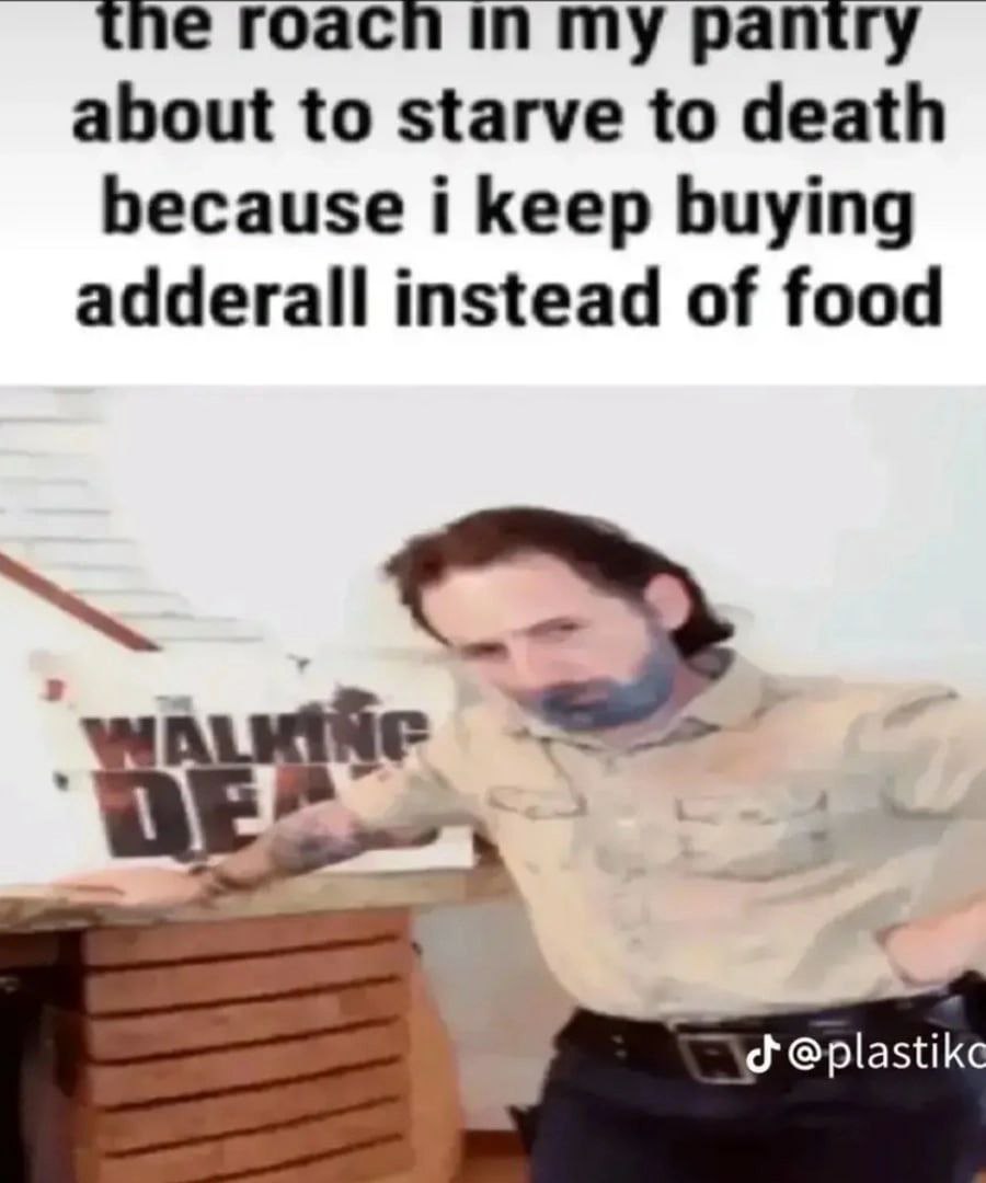 the roacn in my pantry about to starve to death because i keep buying adderall instead of food
