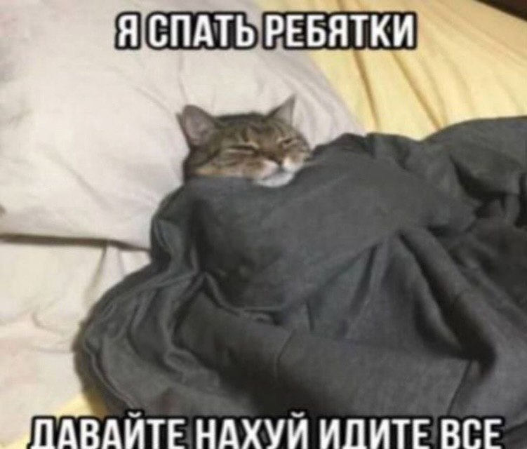 Я СПАТЬ ВЕБЯТКИ NARAUTE НАХУЙ ИПИТЕ BLE