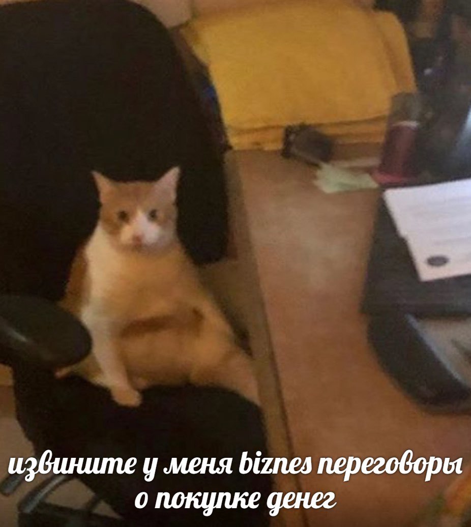извините у меня biznes переговоры о покупке денег