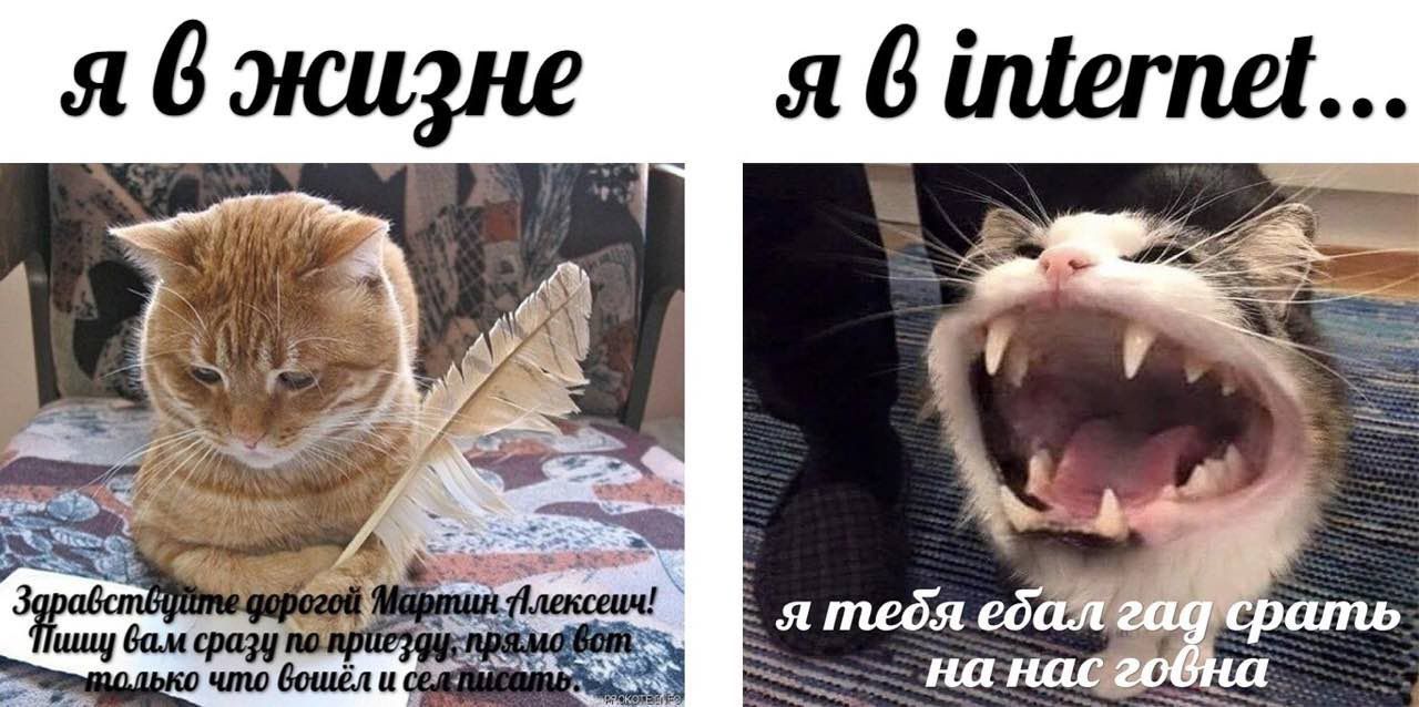 Я Я a 554 4 4 4 2 nna 4 б 1 4 it 7, 6 вам сразу по я тебя что вошёл и Hac 206