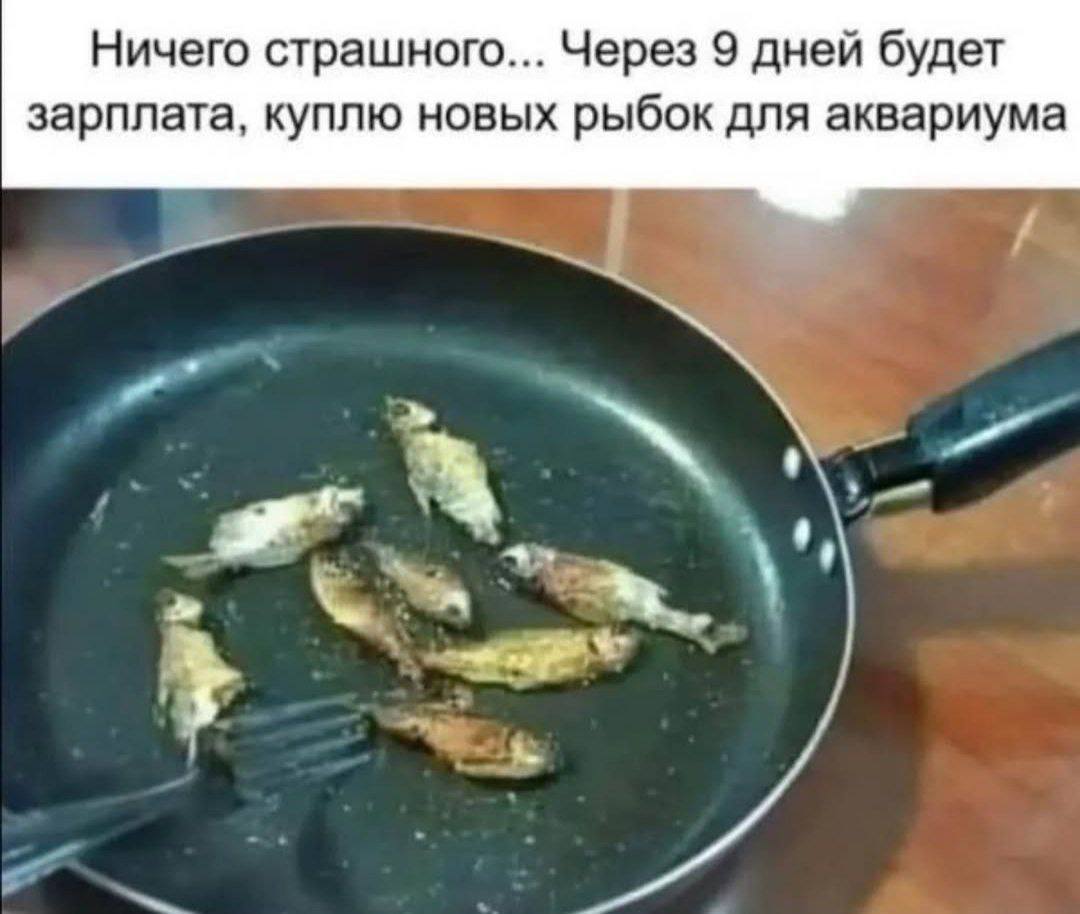 Ничего страшного... Через 9 дней будет зарплата, куплю новых рыбок для аквариума