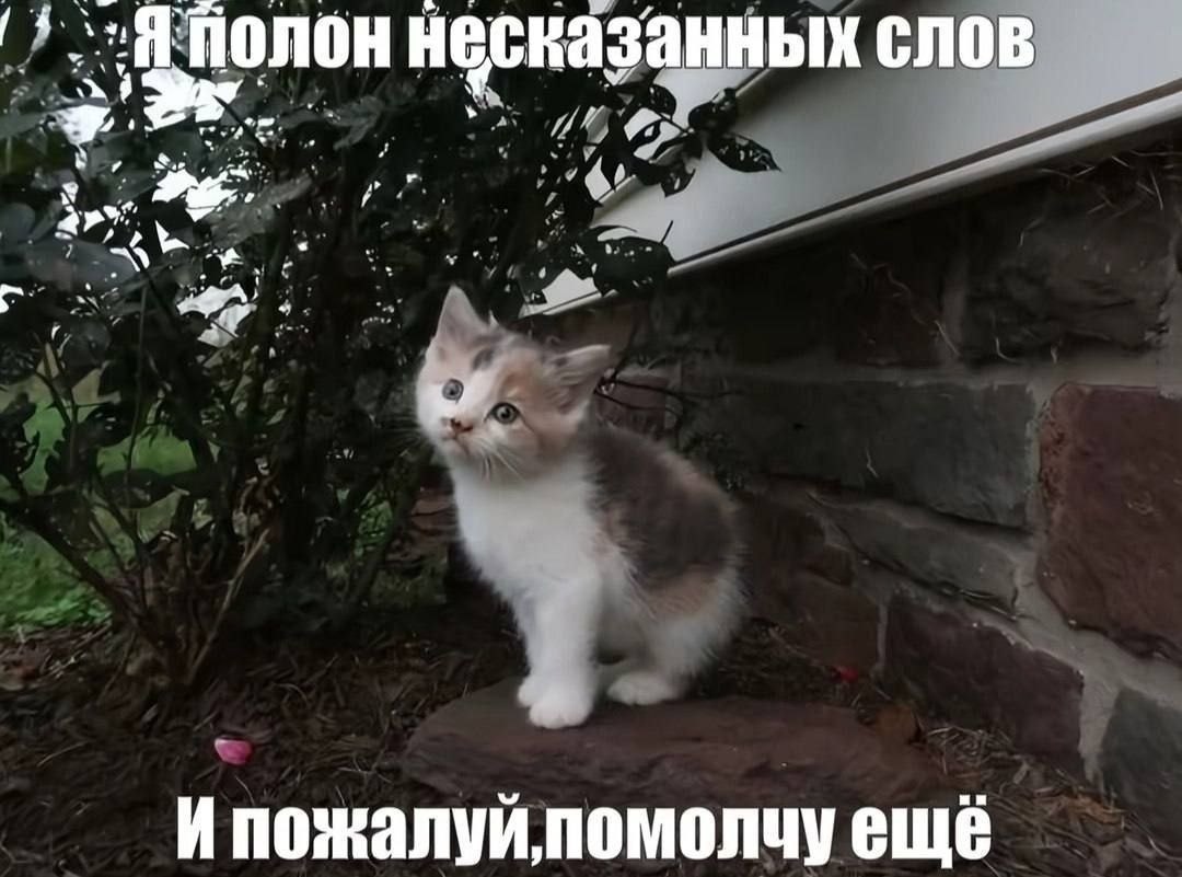 полон несказанных СЛОВ a Ипожалуипомолчу еще