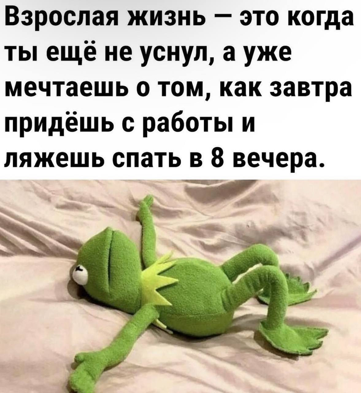 Взрослая жизнь это когда ты ещё не уснул, а уже мечтаешь о том, как завтра придёшь с работы и ляжешь спать в 8 вечера.
