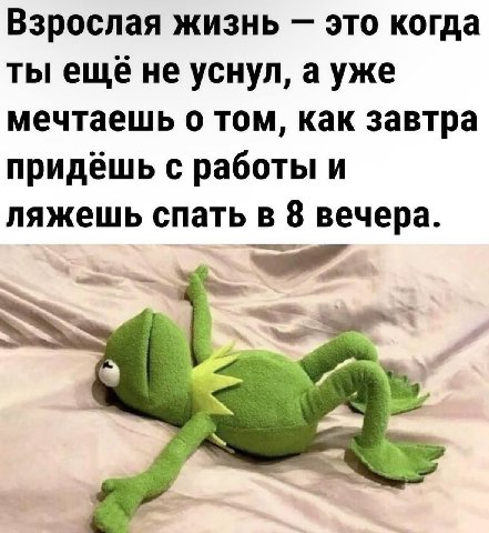 Взрослая жизнь это когда ты ещё не уснул, а уже мечтаешь о том, как завтра придёшь с работы и ляжешь спать в 8 вечера.