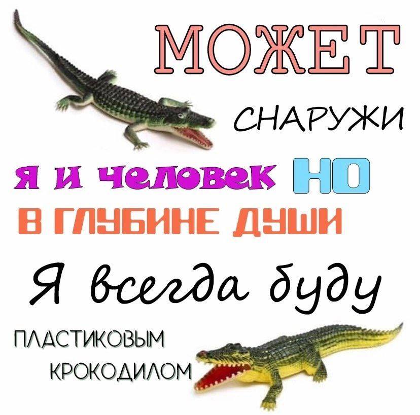 СНАРУЖИ я и человек В ГЛУБИНЕ ДУШИ Я dydy ПЛАСТИКОВЫМ КРОКОДИЛОМ