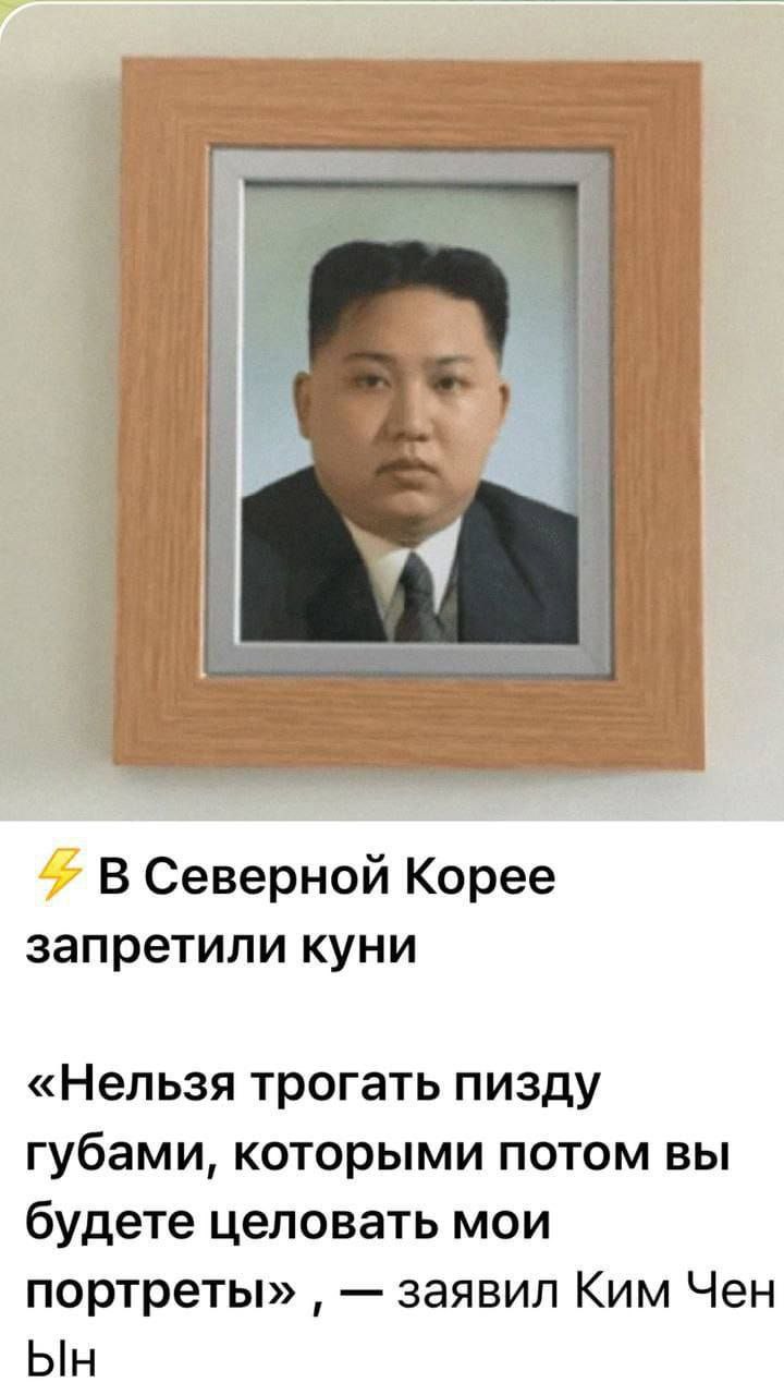 у В Северной Корее запретили куни «Нельзя трогать пизду губами, которыми потом вы будете целовать мои портреты» заявил Ким Чен blH