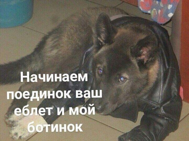 Начинаем поединок ваш еблет и мой ботинок