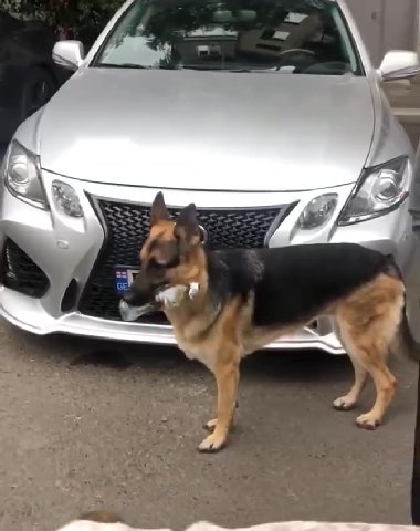 мем