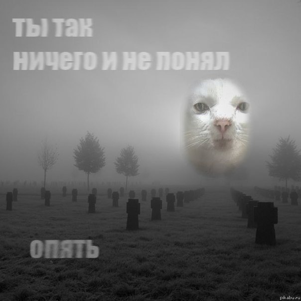 Tah НИЧЕГО И RONAN