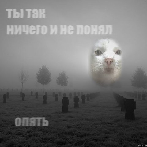 Tah НИЧЕГО И RONAN