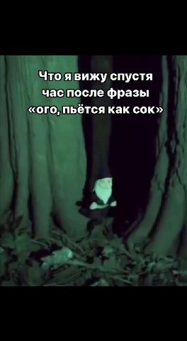 Что явижу спустя час после фразы «ого, пьётся как сок» Я Что аниса 3 |