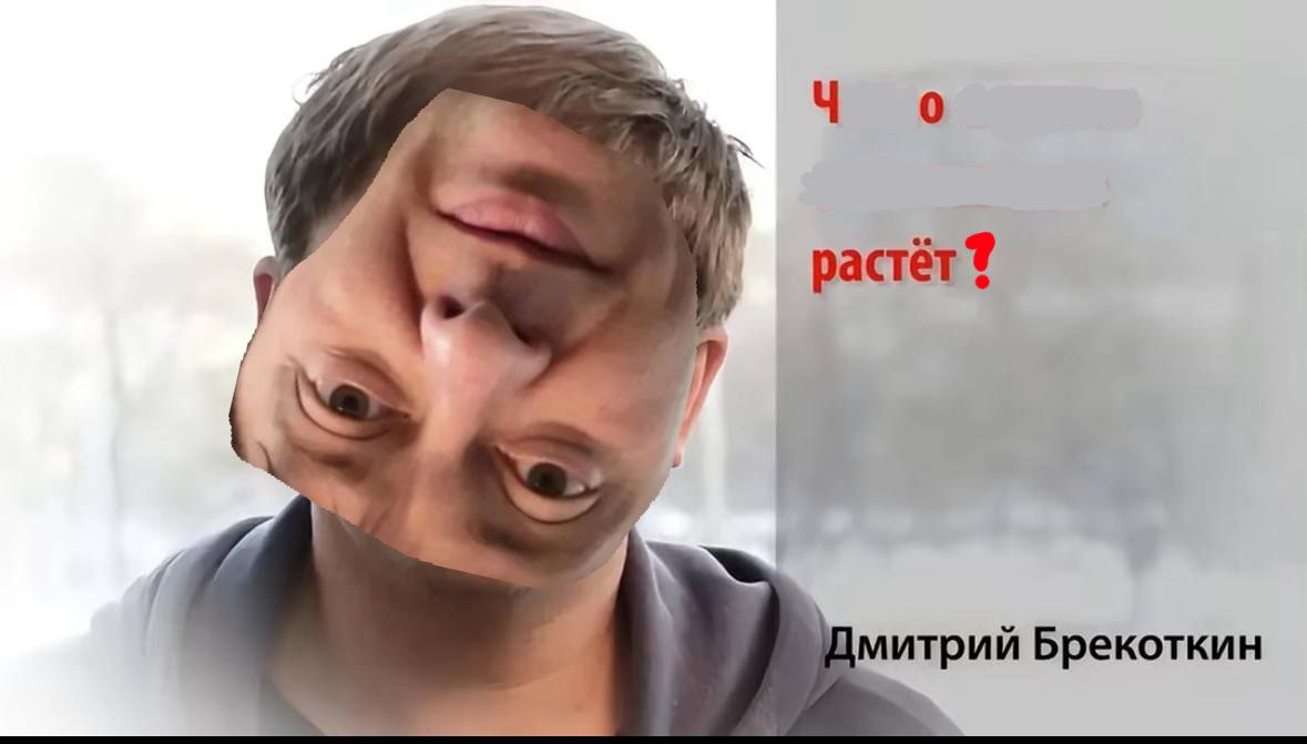 растёт? митрий Брекоткин