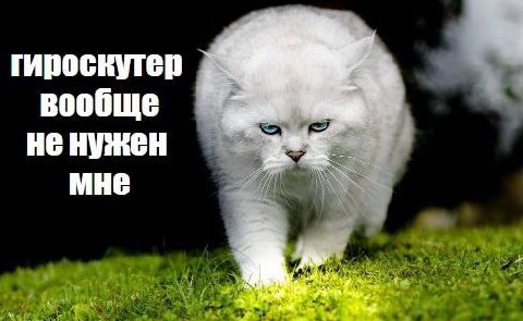 гироскутер вообще не нужен мне