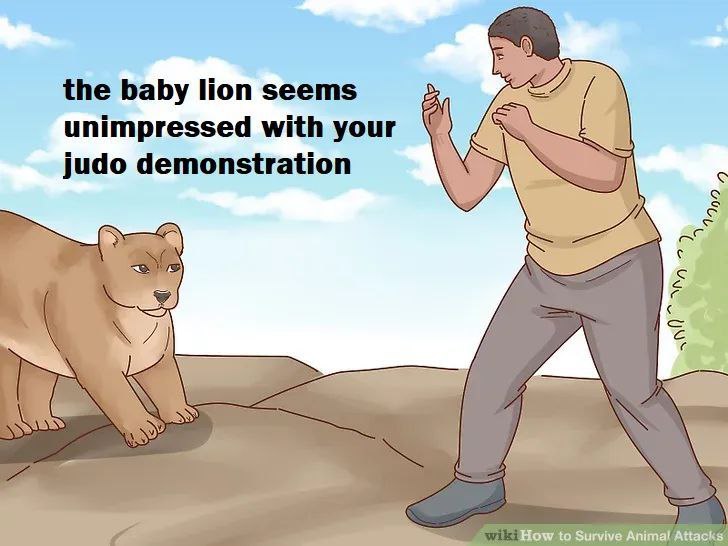 the baby Поп seems i with {4 unimpressed your 4 judo demonstration ail How to Survive Animal Attacks