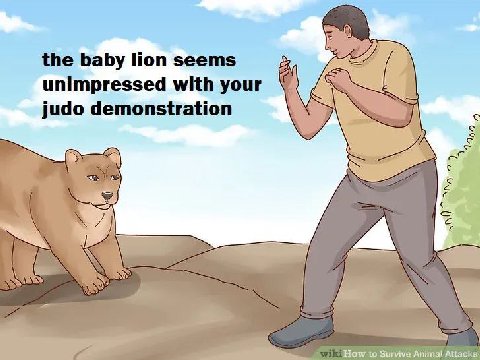 the baby Поп seems i with {4 unimpressed your 4 judo demonstration ail How to Survive Animal Attacks