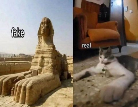 real