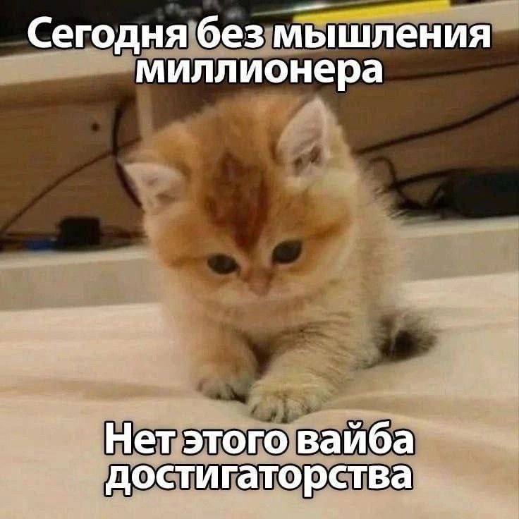 Сегодня без мышления миллионера Нет этого вайба достигаторства