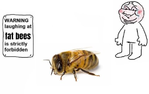 WARNING laughing at fat bees is strictly forbidden