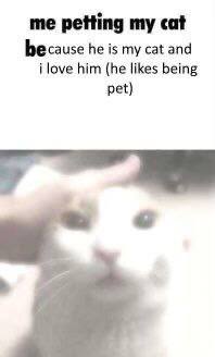 me petting cat be cause he is my cat and i love him (he likes being pet)