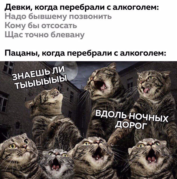Девки, когда перебрали с алкоголем: Надо бывшему позвонить Кому бы отсосать Щас точно блевану Пацаны, когда перебрали с алкоголем: bie \pibibibl oF a №2