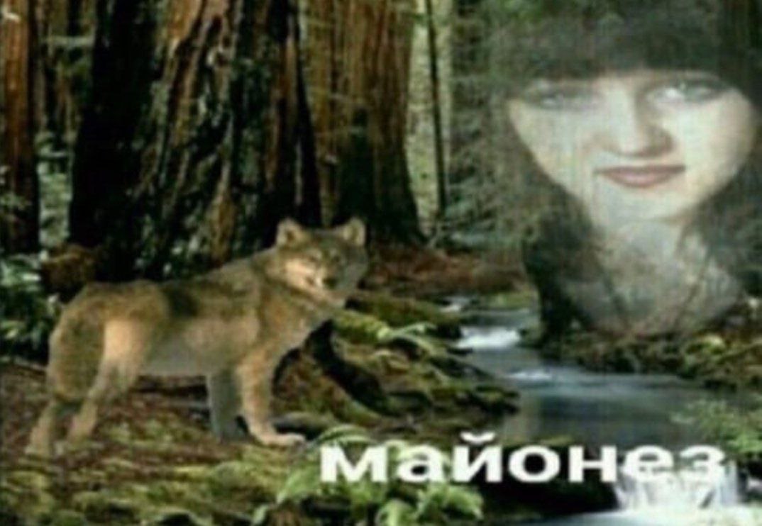 маионая.