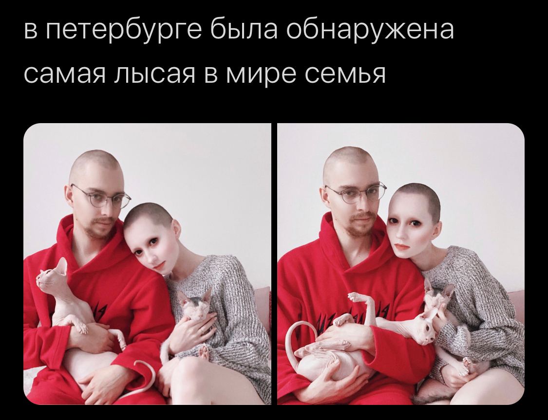 в петербурге была обнаружена самая лысая в мире семья у 1 A бы
