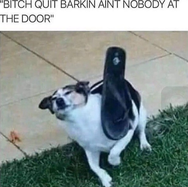"BITCH QUIT BARKIN АМТ NOBODY THE DOOR"