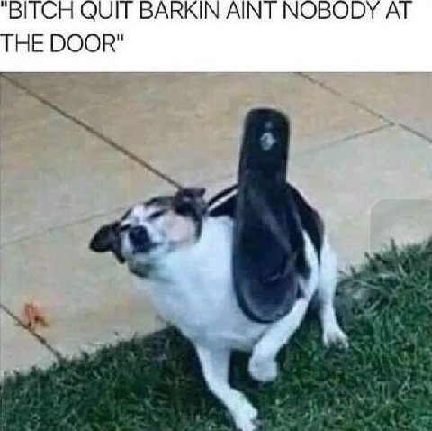 "BITCH QUIT BARKIN АМТ NOBODY THE DOOR"