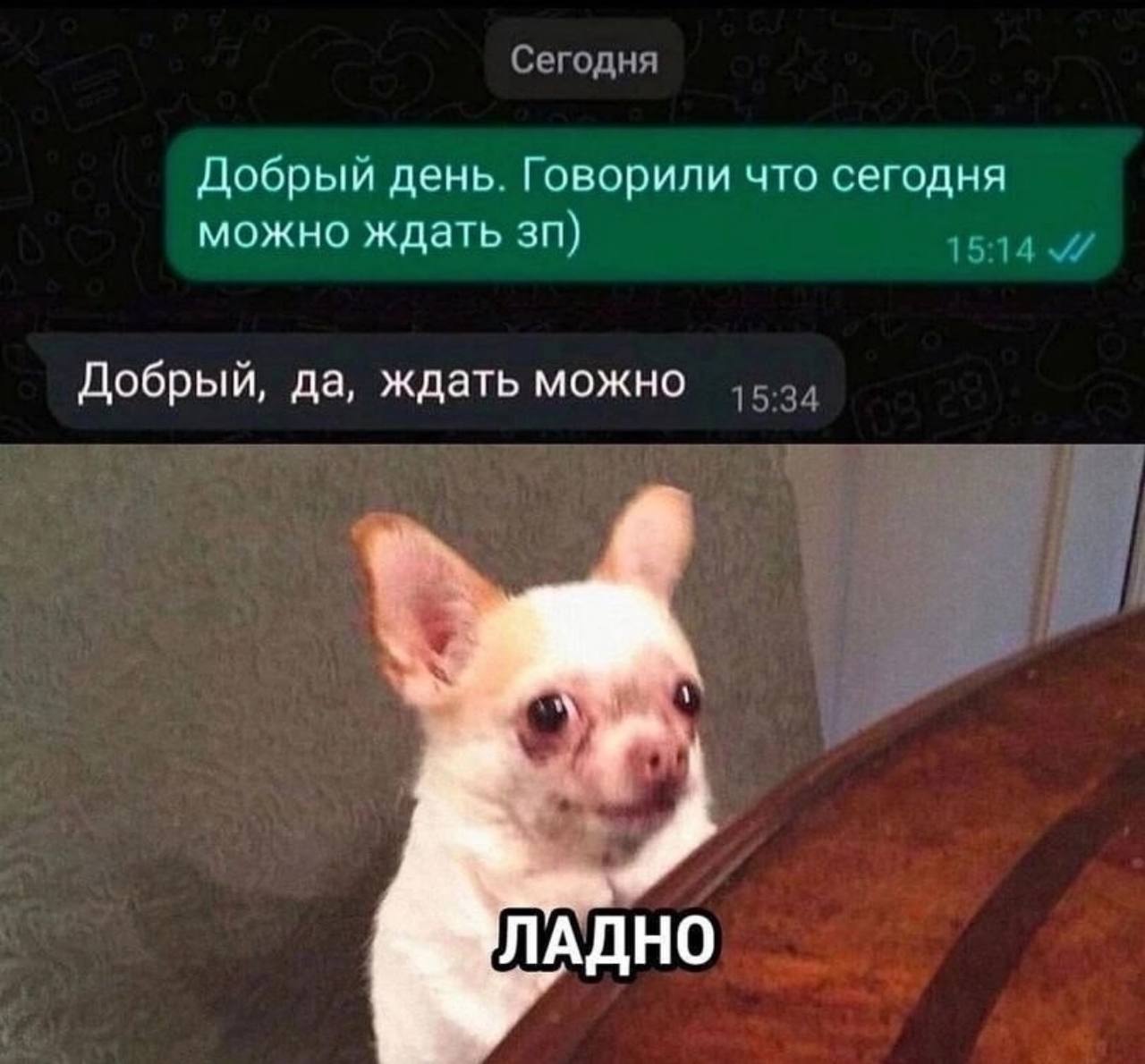 Сегодня Добрый день. Говорили что сегодня можно ждать 15:14 Добрый, да, ждать можно 15 ЛАДНО