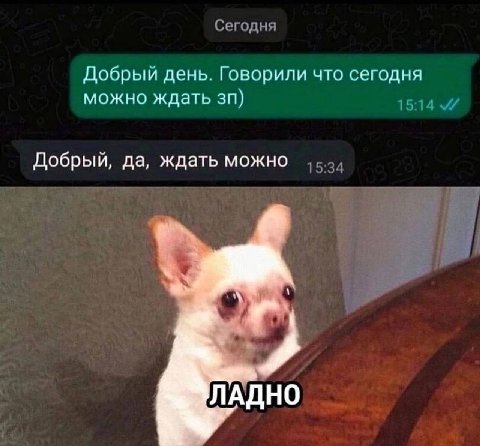 Сегодня Добрый день. Говорили что сегодня можно ждать 15:14 Добрый, да, ждать можно 15 ЛАДНО