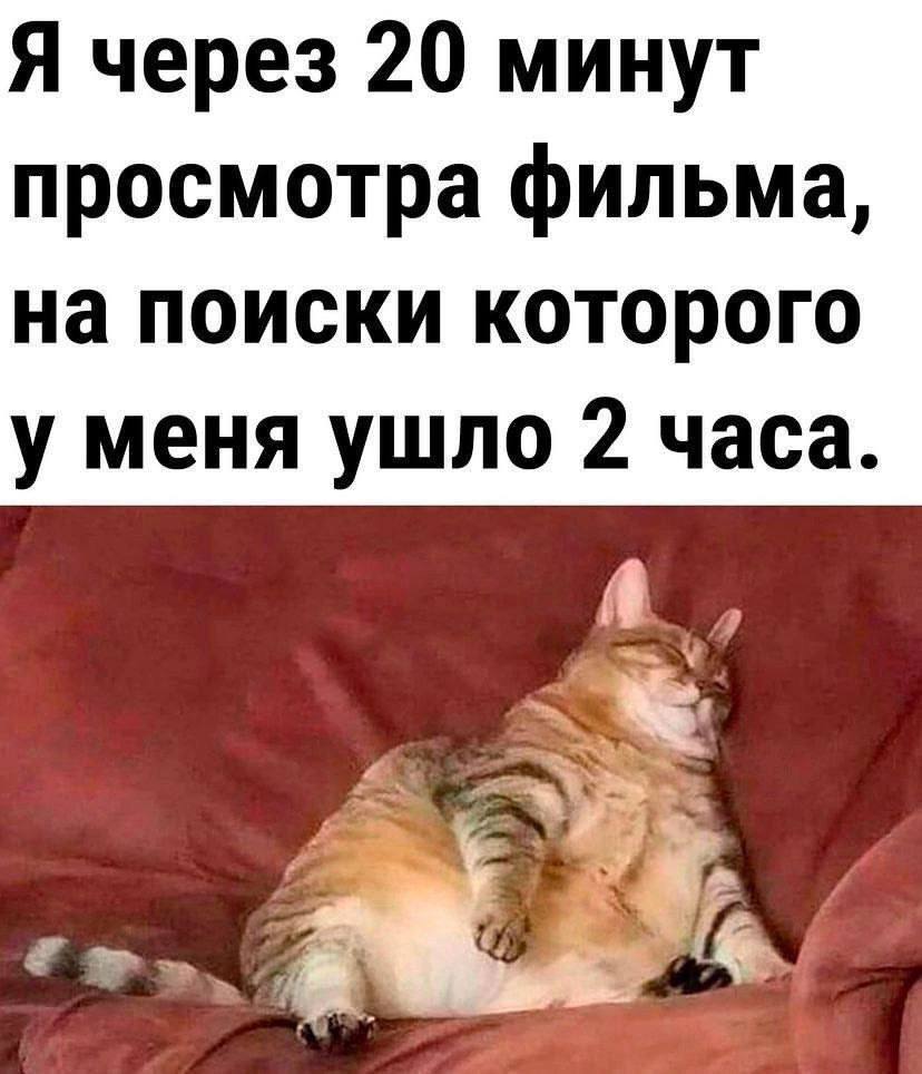 Я через 20 минут просмотра фильма, на поиски которого у меня ушло 2 часа